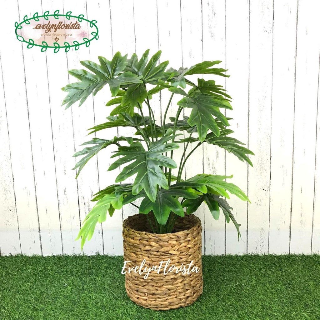 Pohon Daun Monstera Jari Philo X18 Semi Latex Artificial Pot Dasar Plastik Cover Eceng Gondok Tanama