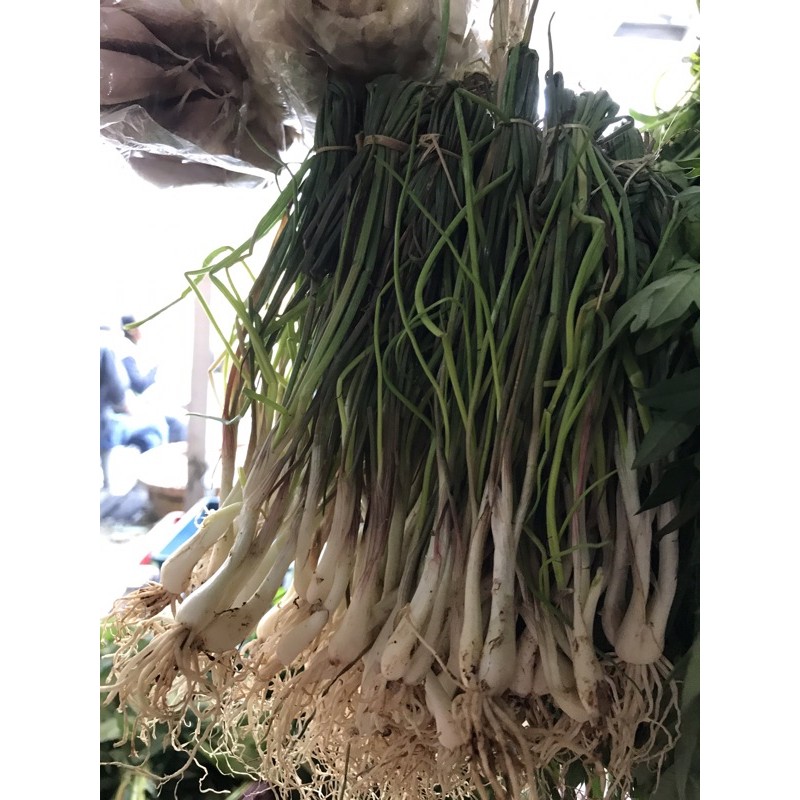 

bawang kucai per/ikat 500 gram