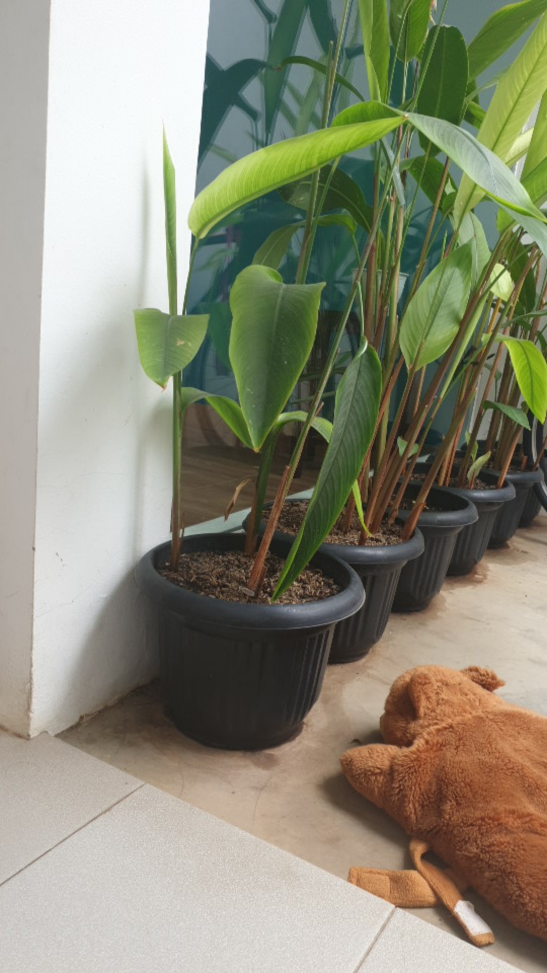 Hw Alas Piring / Mangkuk Makanan / Cangkir Minuman Dengan Model Hollow Dan Bahan Tahan Panas