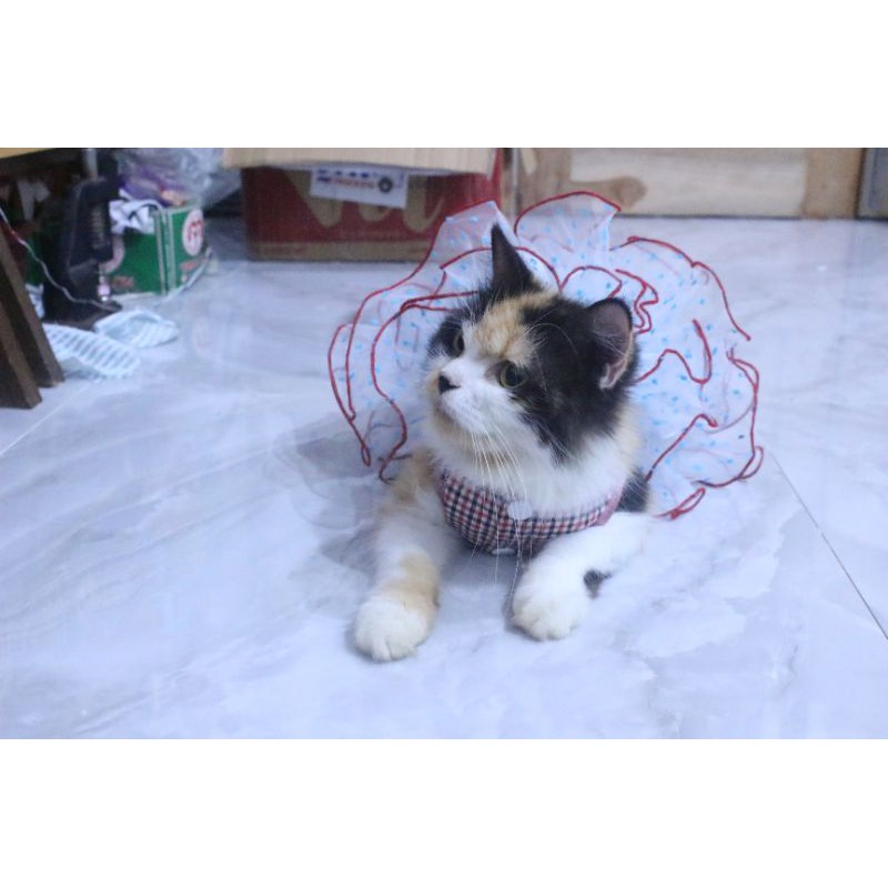 Dress tutu princess #364 lucu untuk kucing dan anjing / baju kucing murah size S M L XL