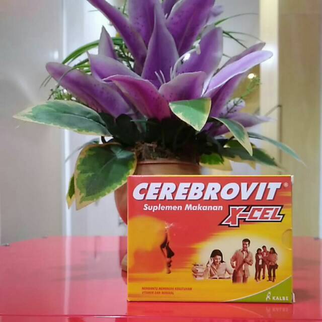 CEREBROVIT XCEL