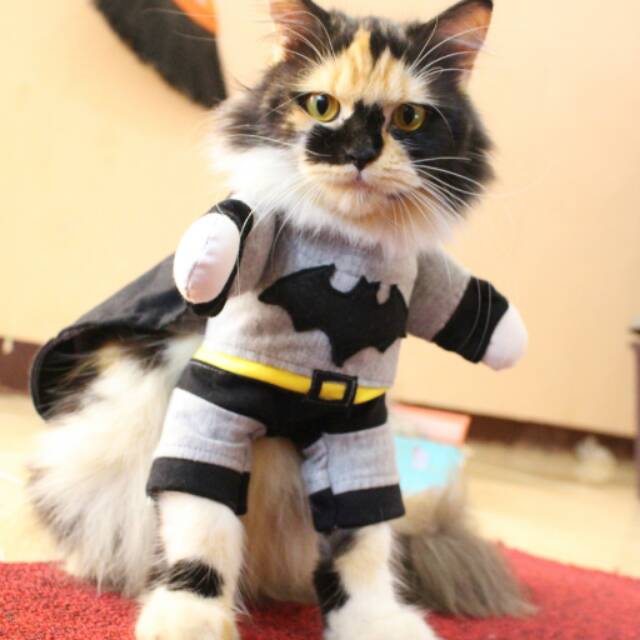 Kostum batman untuk kucing dan anjing / baju kucing anjing / baju lucu size S M L XL