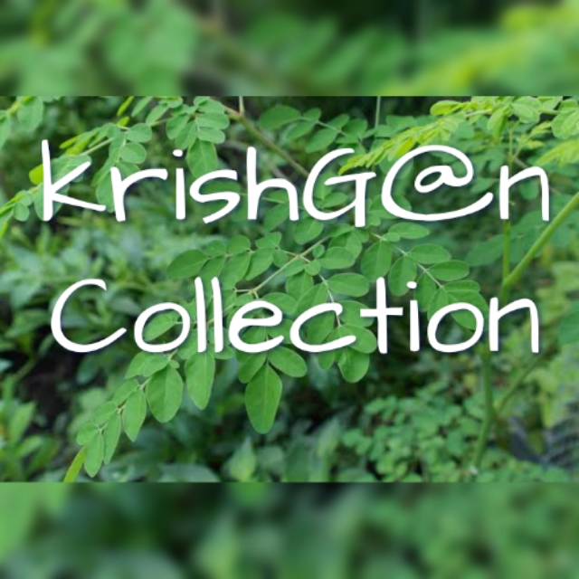

Daun kelor segar,order langsung petik,100gr