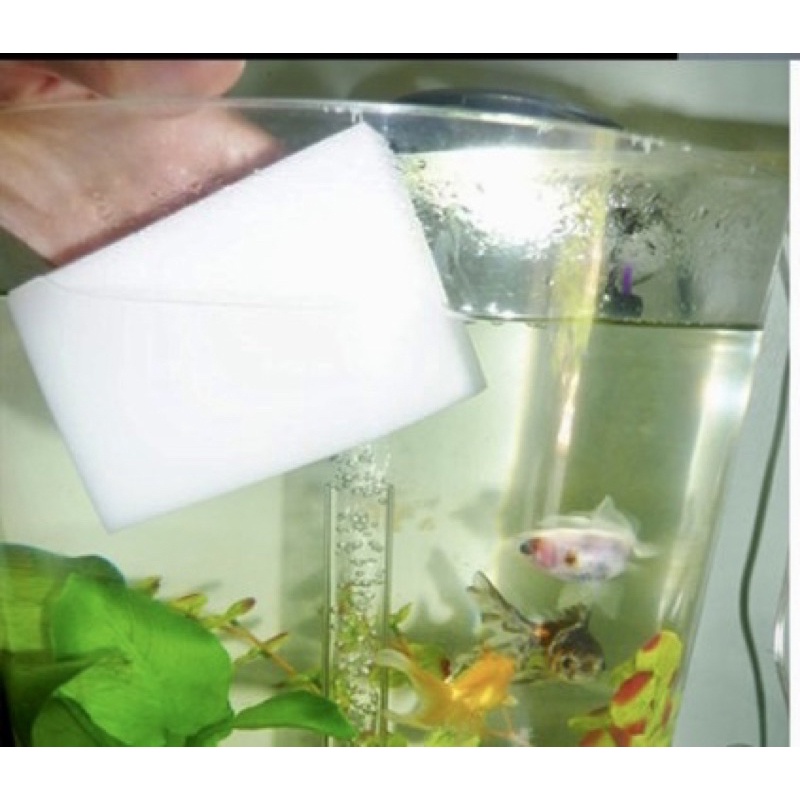 Spon Ajaib Sponge Bagus Spon Pemberaih Kaca Spons Aquarium Nano Magic Sponge