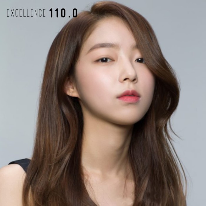 EXCELLENCE 110.0 hair color cream / cat rambut brown cokelat daily