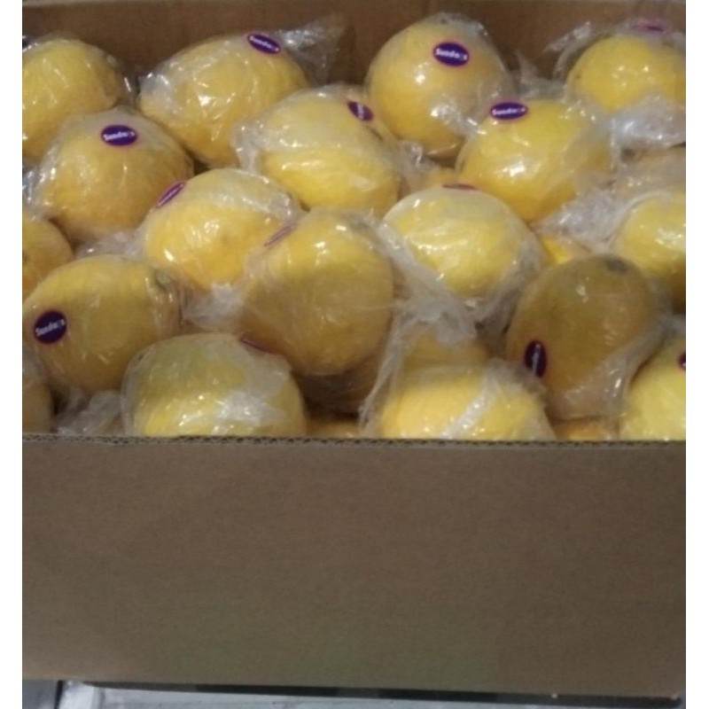 

lemon import