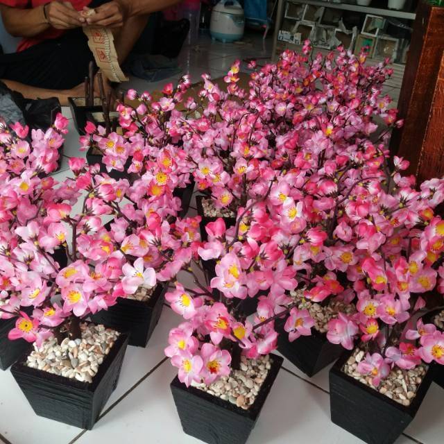 

Bunga sakura