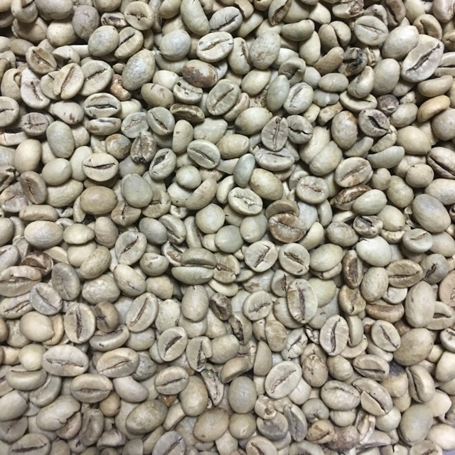 

Green coffee bean orange Jawa robusta big bean