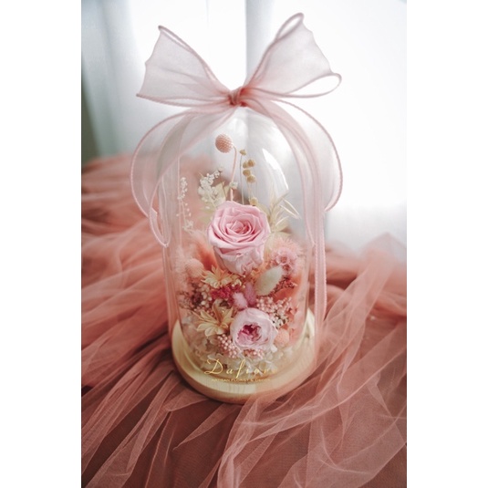 Flower Dome Glass Rose Austin