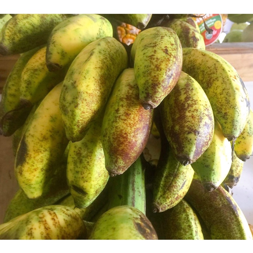 Pisang Raja Sereh Cere | Harga Per kg