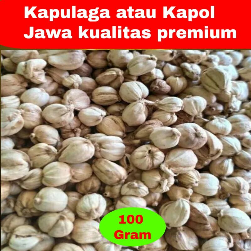 

Kapulaga Kapolaga Kering Kapol Jawa 100 Gram