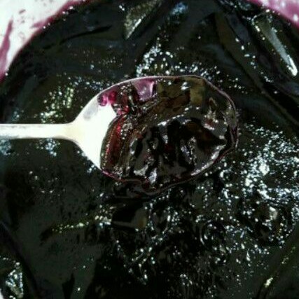 

Selai bluberry 250gr