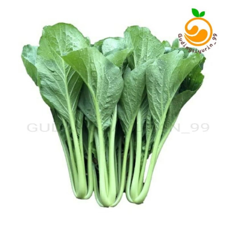 

Caisim / Sawi hijau fresh 250 gram