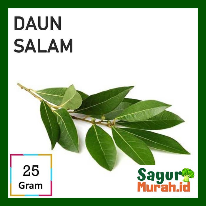 

DAUN SALAM [25g]