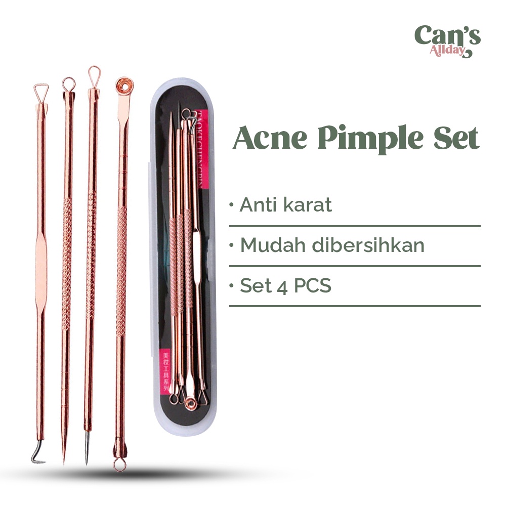 Alat Pembersih Muka Set Acne Pimple Needle Remover Kit 4 PCS