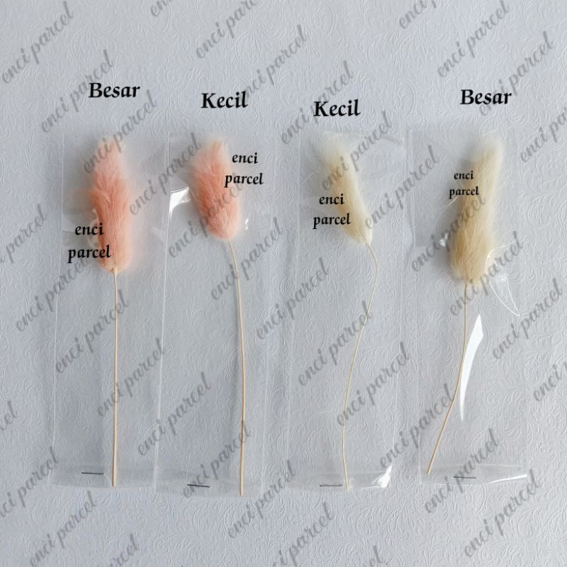 Bulu Lagurus hiasan mahar rustic