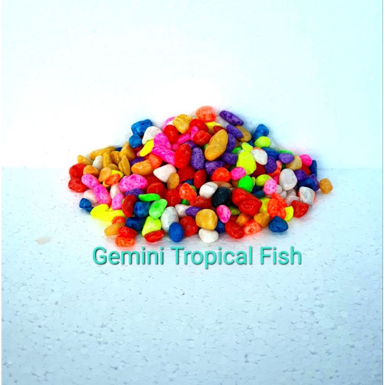 Batu Taiwan Batu Hias warna warni Akuarium Taman Pot bunga