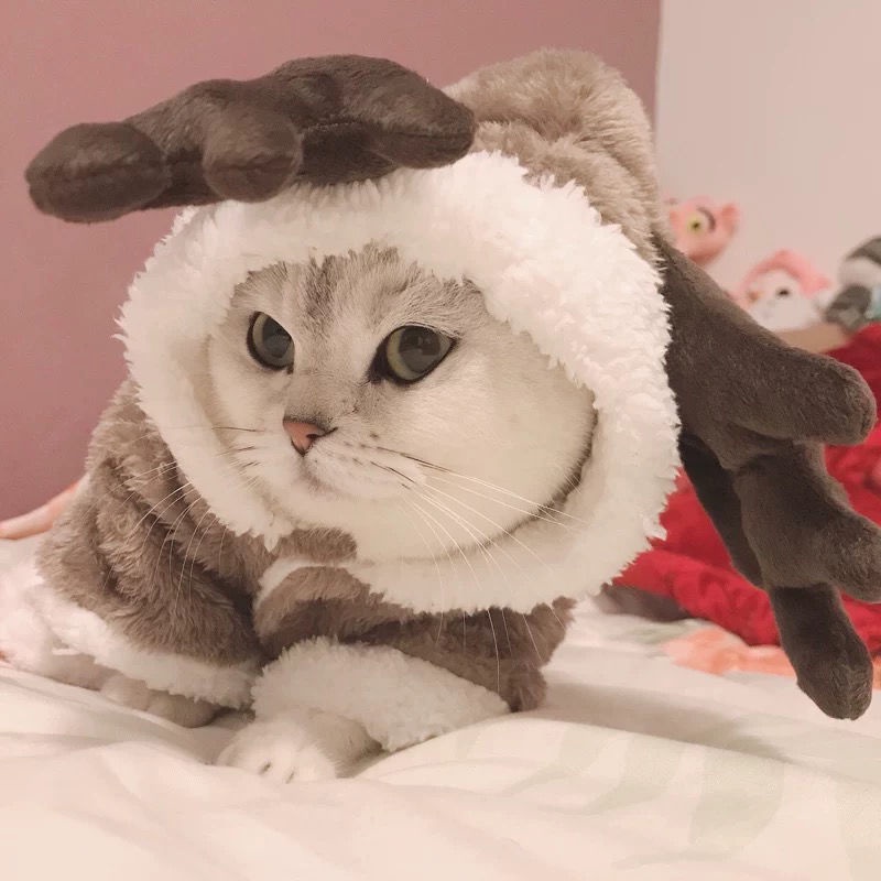 ★〓YUFeiPet〓★ Christmas Halloween Pet Costumes Cats and Dogs Fall/Winter Coat Warm Elk Transformation Costumes