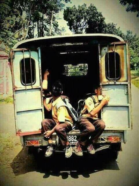 Anti Lalat Racun Umpan Pembunuh Langsung Tepar Mati Habis Makan Obat Laler