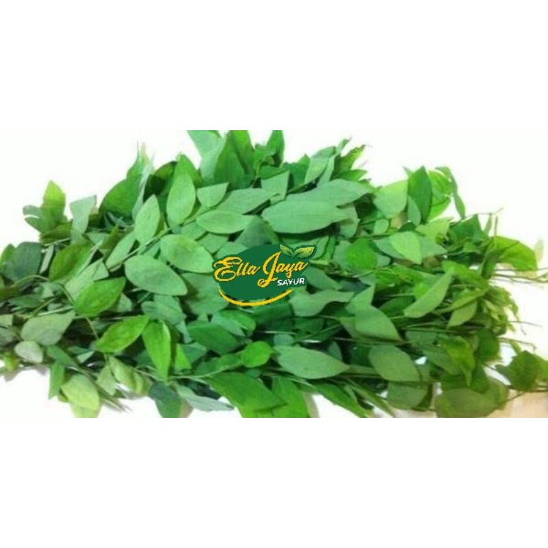 

Daun Katuk / Daun katu Fresh 150gram Purwokerto
