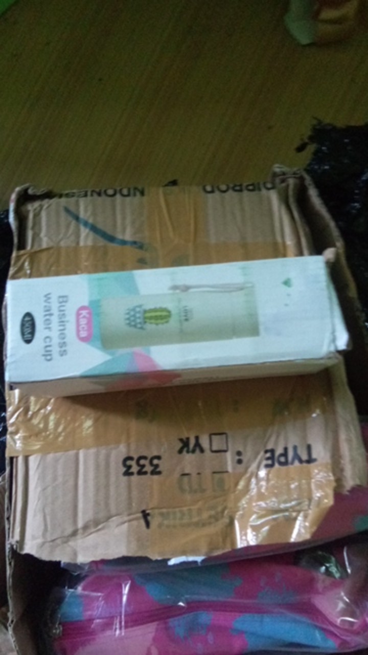 Botol Minum Kaktus Botol Minum Kaca