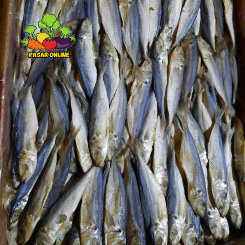 

Ikan Asin Japuh Kecil