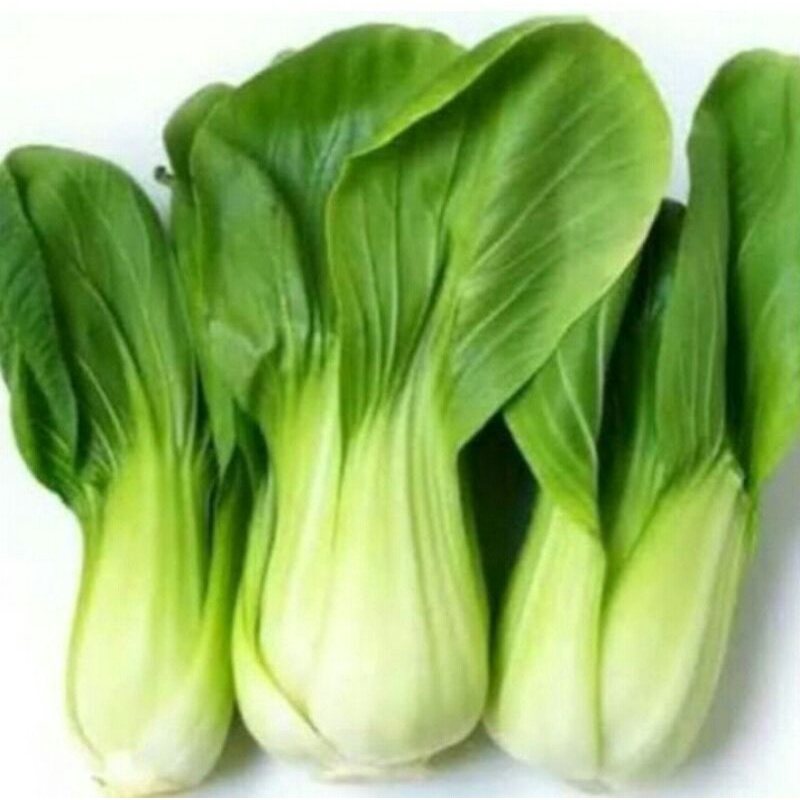 

Sayur Pakcoy 250g