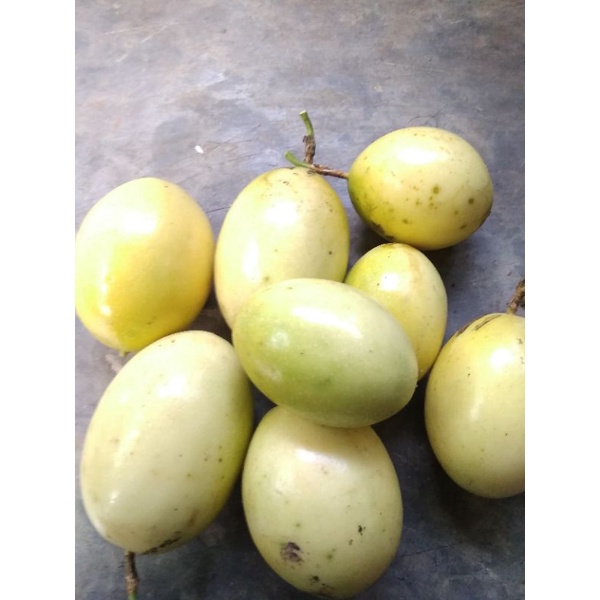 

buah seprola konyal 1 kg seger manis
