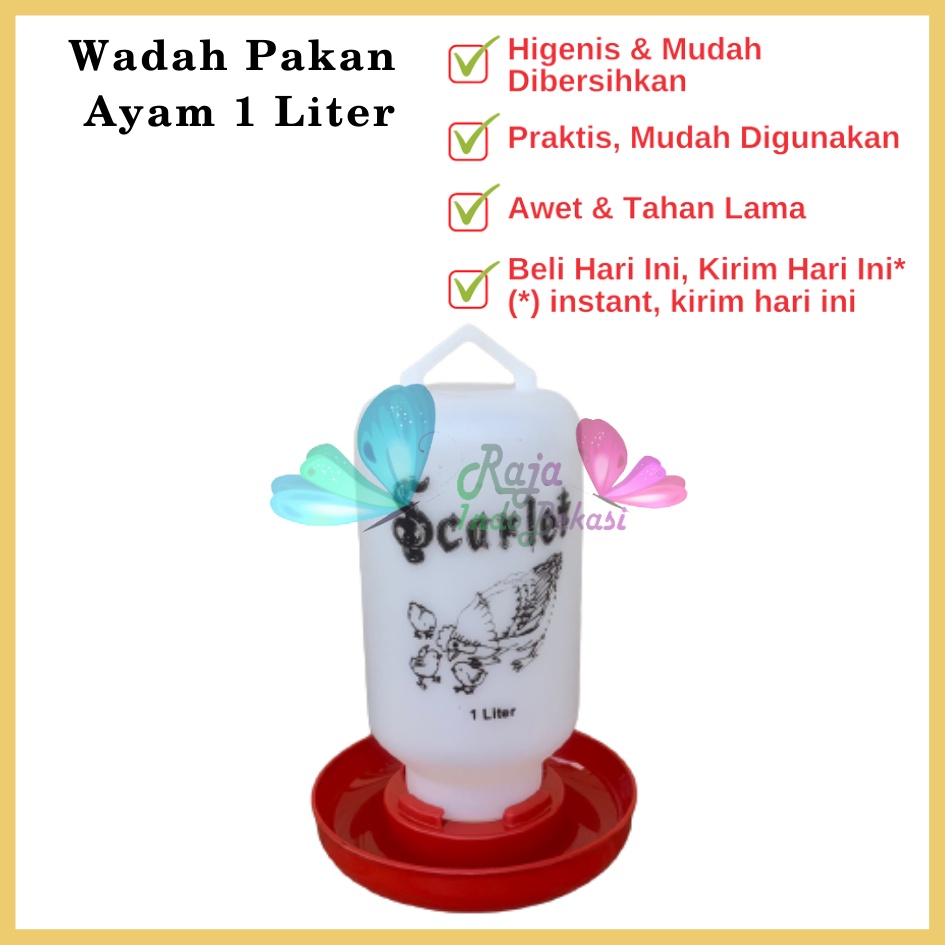 Tempat Makan Ayam Kapasitas 1 Liter 1 Kg SCARLET Wadah Pakan Ayam Anti Tumpah Ransum Wadah Makan Ayam Anakan Plastik 1 Kg - TEMPAT MAKAN AYAM / RANSUM / TRA1K MEDION KAPASITAS 1KG WADAH PAKAN BREEDING TERNAK ANAK AYAM RNS1KG