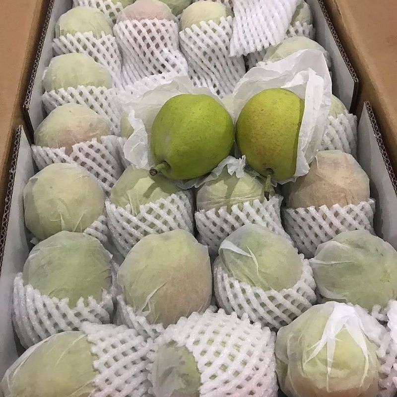 

Pear Xianglie China