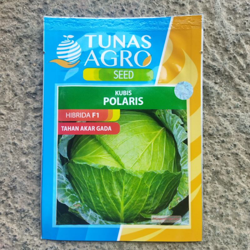 BENIH KUBIS POLARIS 10 GRAM