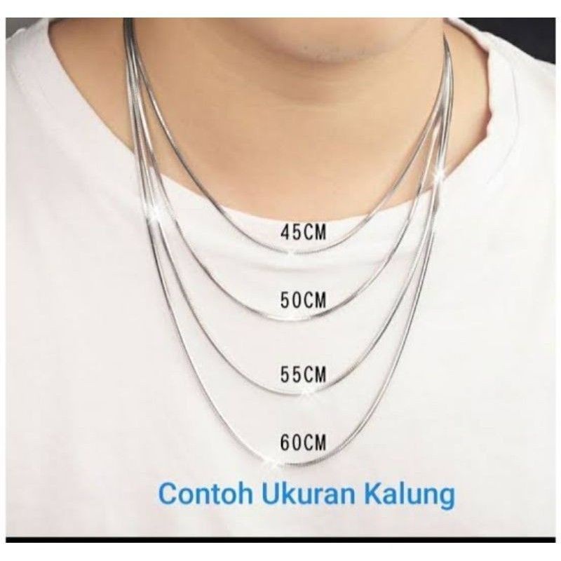 Kalung Perak Pria Wanita Asli Silver 925 Lapis Emas Putih Model Kasandra Flexy 45Cm - Perhiasan Perak Asli