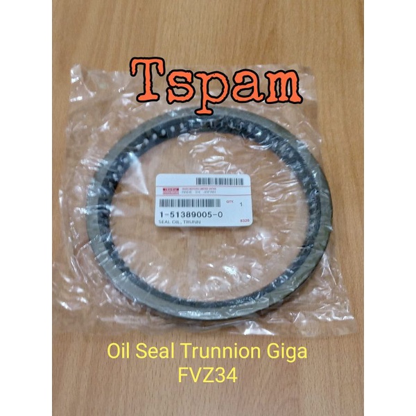 oil seal bugi trunion isuzu giga fvz34