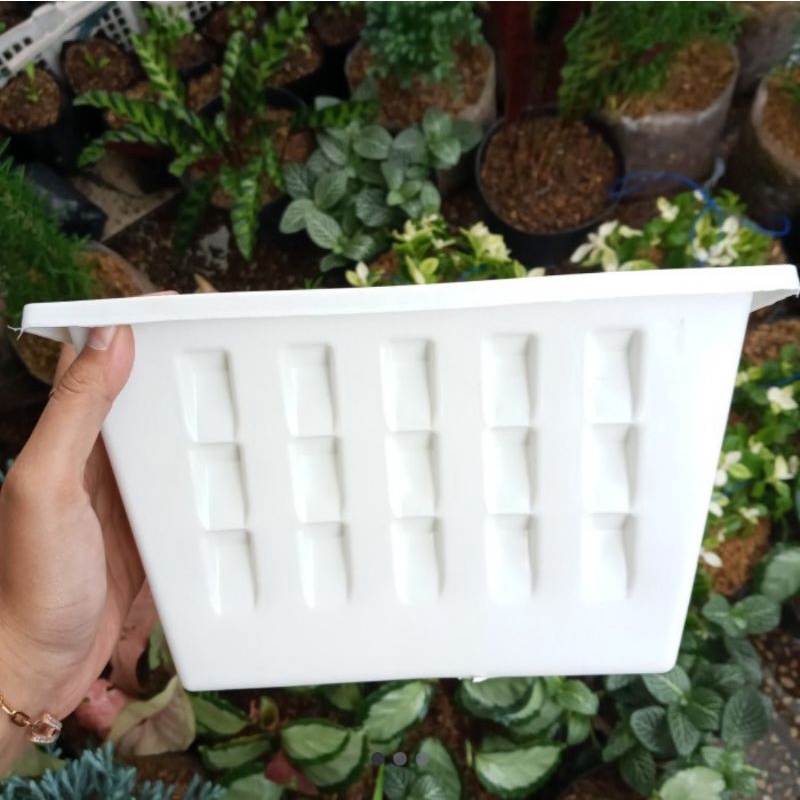 Pot tempel putih, pot tempel model argo, pot dinding model argo putih