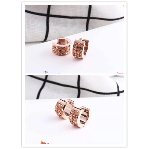 Anting-anting titanium R006.5006