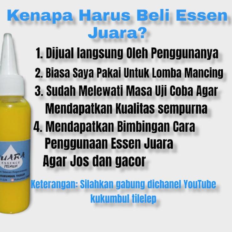 Essen Ikan Mas Paling Bagus, Essen Juara Untuk Lomba Mancing Ikan Mas Harian, Essen Ikan Mas Galapun