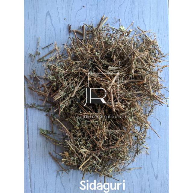 

Daun Sidaguri Kering 500gram