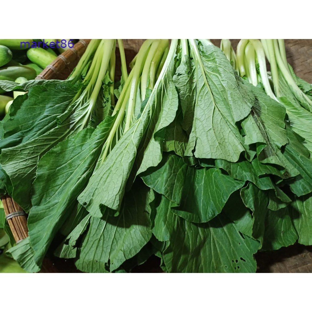 

Caisim / Sawi Ijo /250gram - Market86