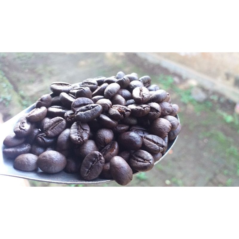 

kopi robusta wine temanggung