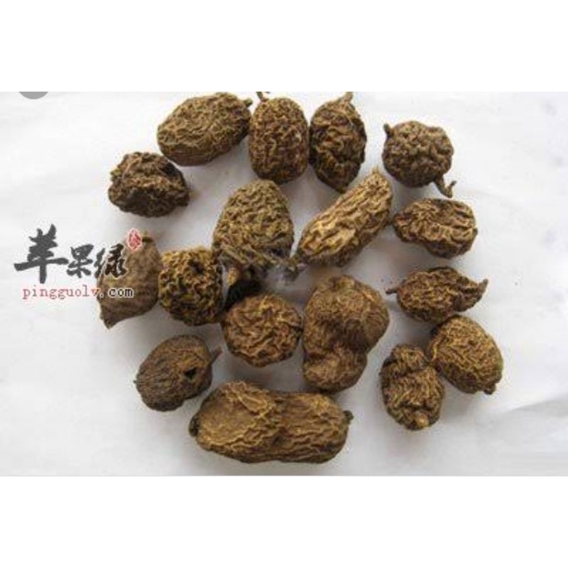 

10 G 50 GR 100 GRAM 金果榄 JIN GUO LAN PUA PIAN LIAN 半边莲只 BAN BIAN LIAN ZHI TINOSPORA SAGITTATA
