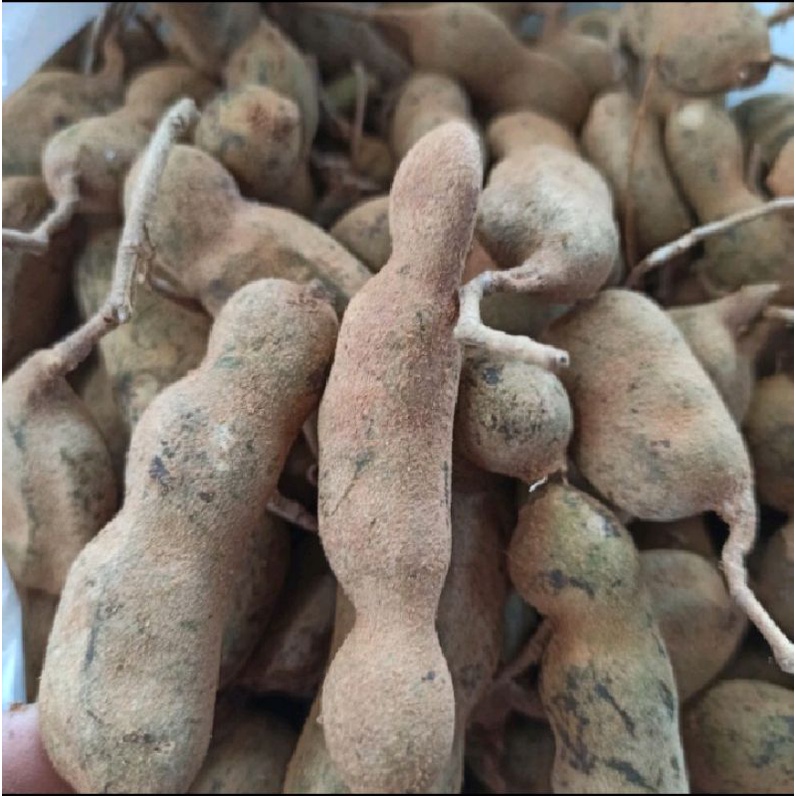 

Puri Segar Shop, Buah Asam Muda Segar 250 Gram