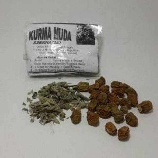 Kurma Muda Kering Plus Daun Marmia Indonesia