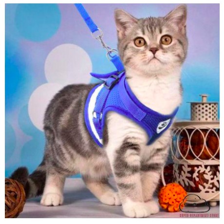 Harness rompi + tali kucing tali anjing yang bisa disesuaikan rompi kucing dan anjing