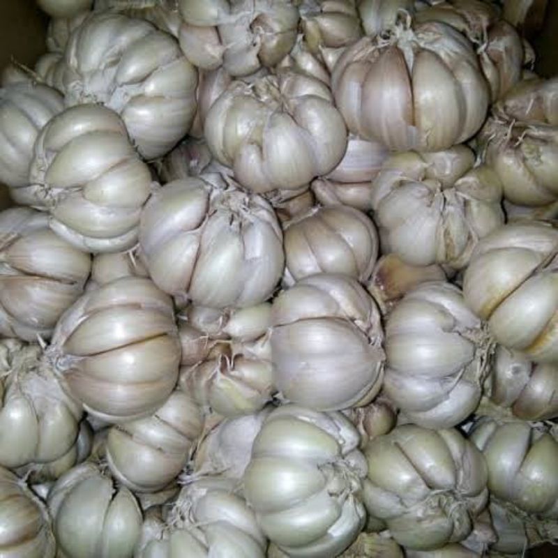 

BAWANG PUTIH BIASA/BANCI BERSIH 1 KG