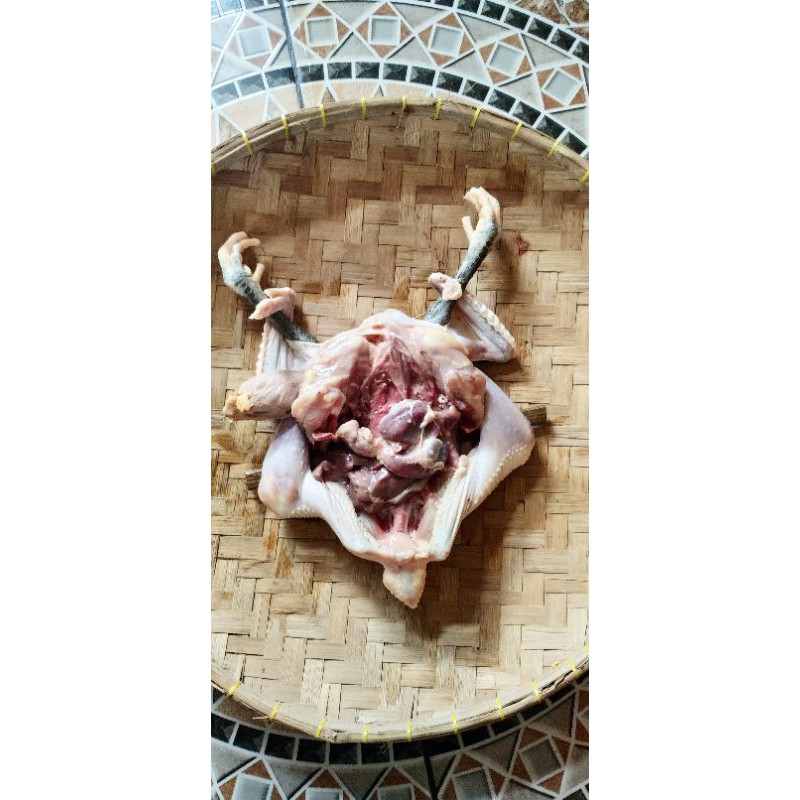

karkas ayam kampung