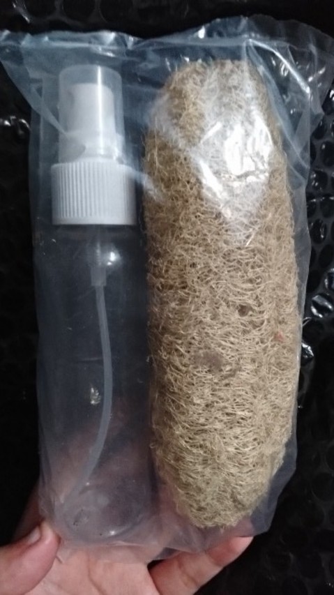 Botol Spray 100 Ml / Botol Parfum / Botol Handsanitizer