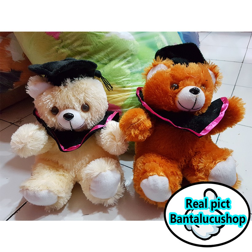 Boneka Teddy Bear Wisuda Boneka Wisuda Bucket Bahan Bulu 35CM