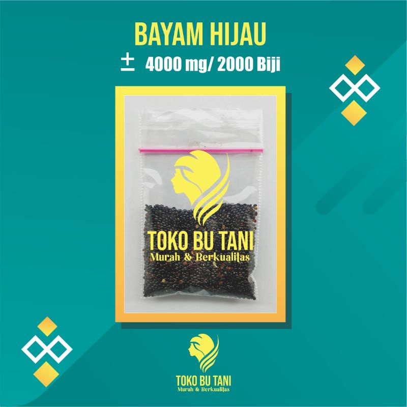 Benih Bayam Hijau Sayuran Hidroponik Unggul Berkualitas Benih Sayuran Repack Berkualitas