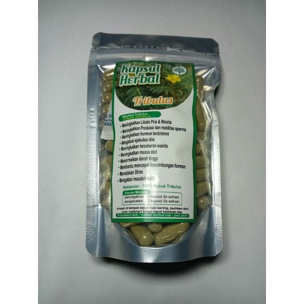 Kapsul TRIBULUS (TRIBULUS TERRESTRIS) - Grade A