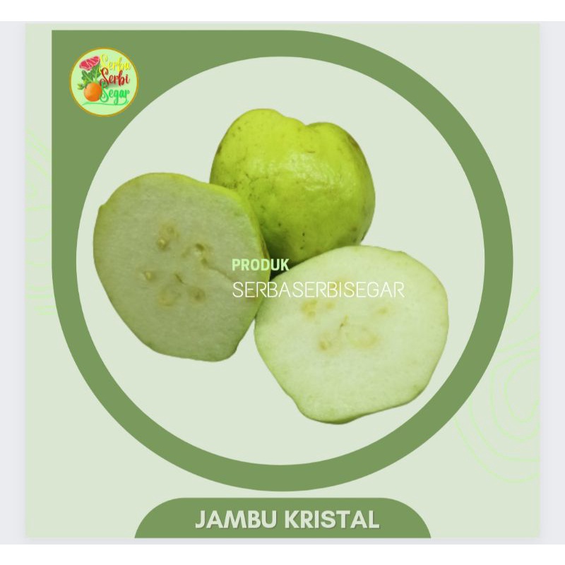 

JAMBU KRISTAL SEGAR